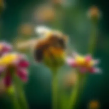 Magnificent Plants That Deter Bees and Wasps: An In-Depth Exploration Magnificent Plants That Deter Bees and Wasps: An In-Depth Exploration