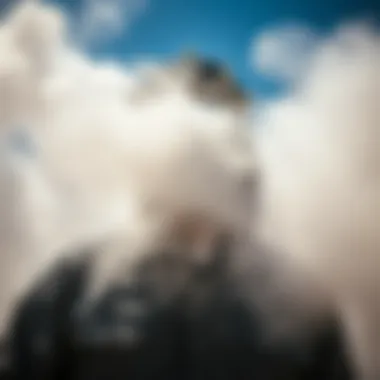 Magnificent The Role of Pyrethrin in Fogging Applications