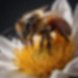 Close-up of a bee on a flower, showcasing its important role in pollination.