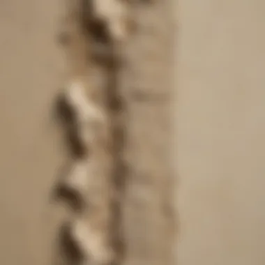 Close-up view of stucco cracks showing structural damage