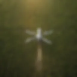Aerial view of a vast agricultural field with pest control application in action.