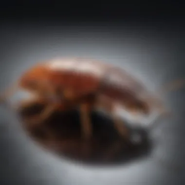Innovative Approaches in Pest Control Innovations in pest control products
