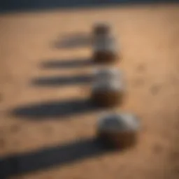 Different types of ant traps lined up for comparison
