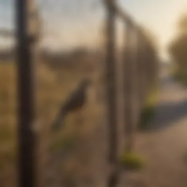 Physical Barriers for Bird Control Physical barriers such as nets and spikes installed to prevent birds from nesting.