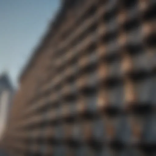 A close-up view of bird blinder spikes installed on a rooftop to deter birds