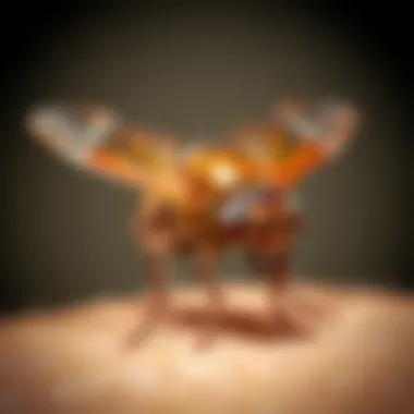 Effective Pest Control Strategies for Fleas Visual representation of pest control methods targeting fleas