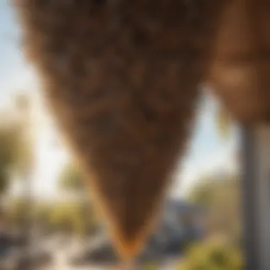 Bee Swarm in Neighborhood Bee swarm in a residential area