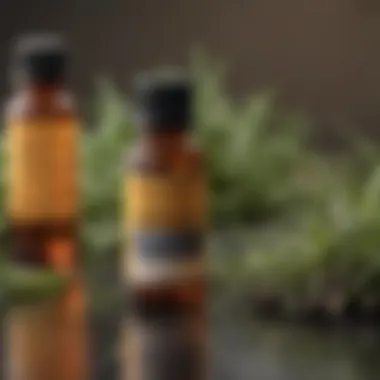 Close-up of natural pest repellent ingredients like essential oils and herbs