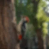 Woodpecker perched on a tree