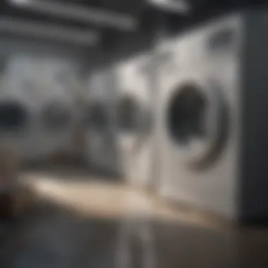 Market Analysis of Emerging Laundry Solutions Market analysis of emerging laundry solutions