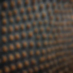 Various bee trap baits displayed together