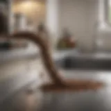 Close-up of an ant trail on a kitchen counter