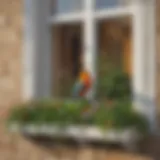 A serene window sill with decorative plants, illustrating a bird-free zone