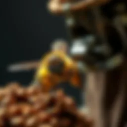 Effective Strategies for Bee Removal in Carrollton, TX Introduction