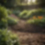A well-maintained garden showing signs of mole activity with raised mounds