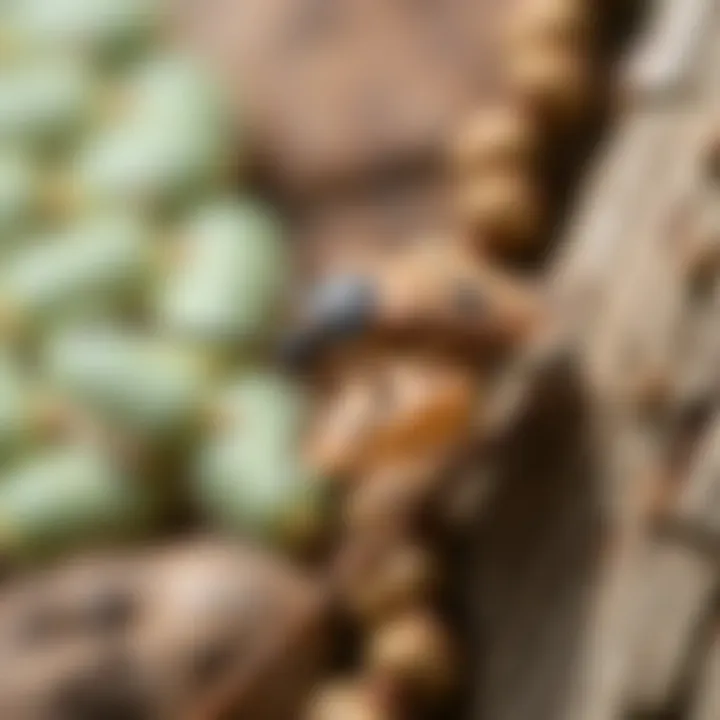 Eco-Friendly Treatments for Stink Bugs Eco-friendly treatment options for pests