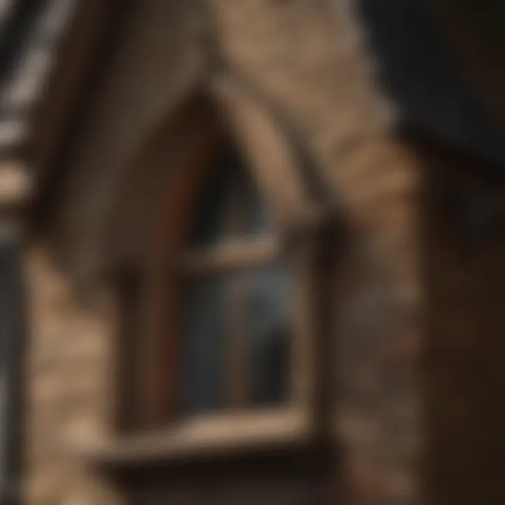 Image of a house with bat exclusion measures