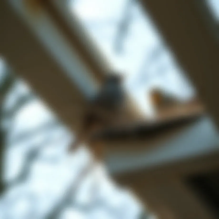 Effective Strategies to Prevent Birds from Nesting in Carport Rafters Introduction