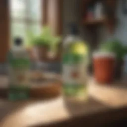 Eco-friendly pest control products on a table