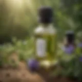 A bottle of essential oil surrounded by fresh herbs