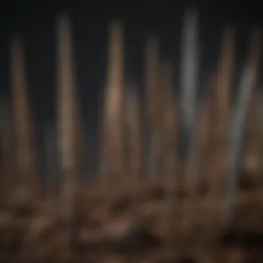 Variety of bird spikes on a display