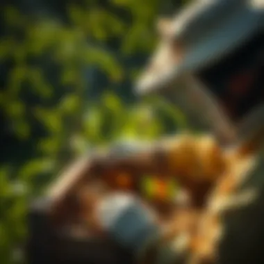 Beekeeper inspecting a hive filled with honeycombs