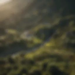 Aerial view of a lush West Coast landscape.