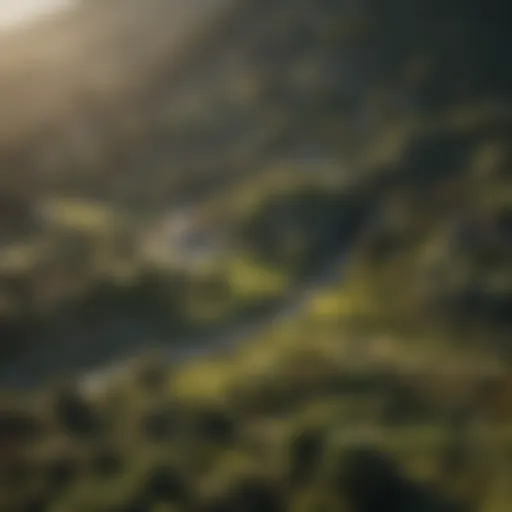 Aerial view of a lush West Coast landscape.