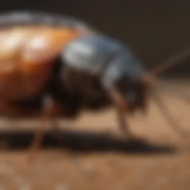 Safety Measures in Fumigation Safety precautions during fumigation
