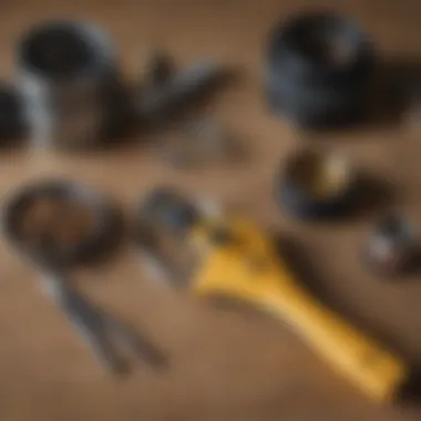 Various tools for wasp extermination laid out on a table