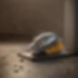 A sleek metal mouse trap designed for humane capture