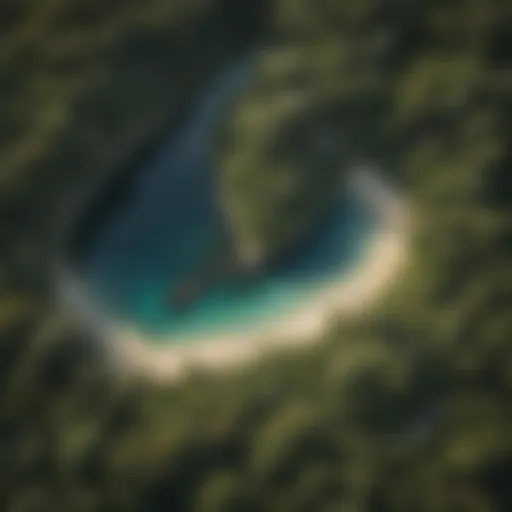 Aerial view of a tropical island showcasing diverse ecosystems vulnerable to invasive pests