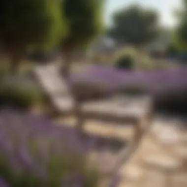 Relaxing Environment with Lavender A serene outdoor space enhanced by lavender plants