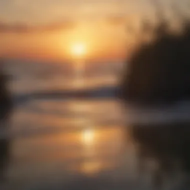 A landscape view of the Gulf Coast with a sunset