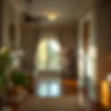 Identifying Common Pests in Homes Close-up of a pest problem in a home setting