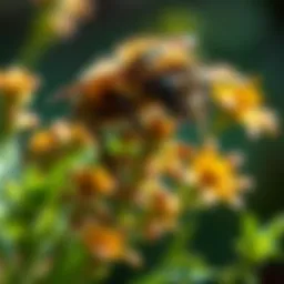 Plants That Deter Bees and Wasps: An In-Depth Exploration Introduction
