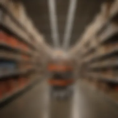 Variety of raccoon traps displayed in Home Depot aisle