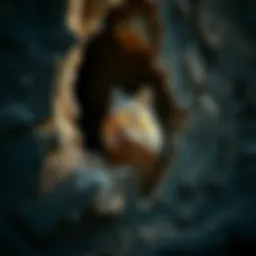 Strategies for Eradicating Chipmunks Inside Walls Introduction