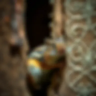 Notable Strategies for Eradicating Chipmunks Inside Walls