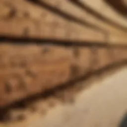 Termite damage to wooden structures
