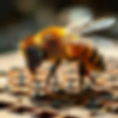 The Comprehensive Guide to Indoor Bee Traps Summary
