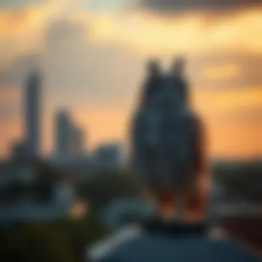 Notable The Efficacy of Rooftop Owl Decoys in Pest Control Notable The Efficacy of Rooftop Owl Decoys in Pest Control