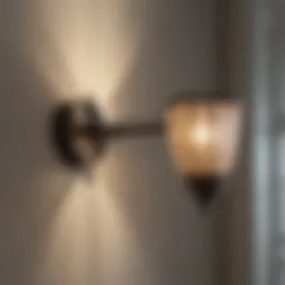Detailed design features of wall sconce fly light traps