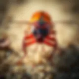 The Role of Pest Control in Managing Cockroach Infestations Introduction