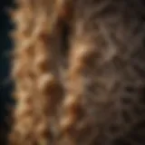 Close-up of a termite nest showcasing intricate structures