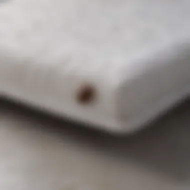 Proper Installation of Bed Bug Zip Mattress Covers Diagram depicting the proper installation of a zip mattress cover on a mattress