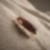 Close-up of bed bugs on a fabric surface