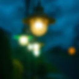 Understanding Commercial Bug Lights: Applications, Effectiveness, and Environmental Impact Introduction