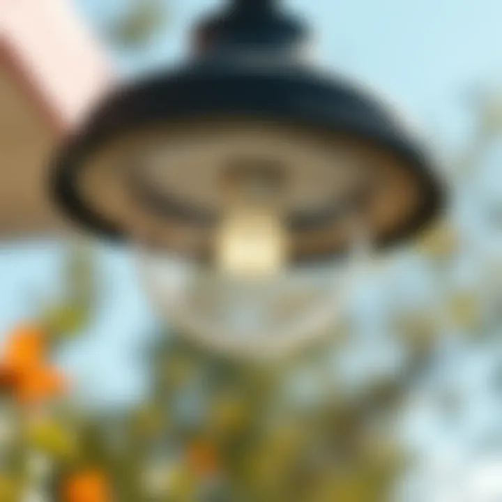 Understanding Commercial Bug Lights: Applications, Effectiveness, and Environmental Impact Summary