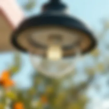 Understanding Commercial Bug Lights: Applications, Effectiveness, and Environmental Impact Summary Understanding Commercial Bug Lights: Applications, Effectiveness, and Environmental Impact Summary